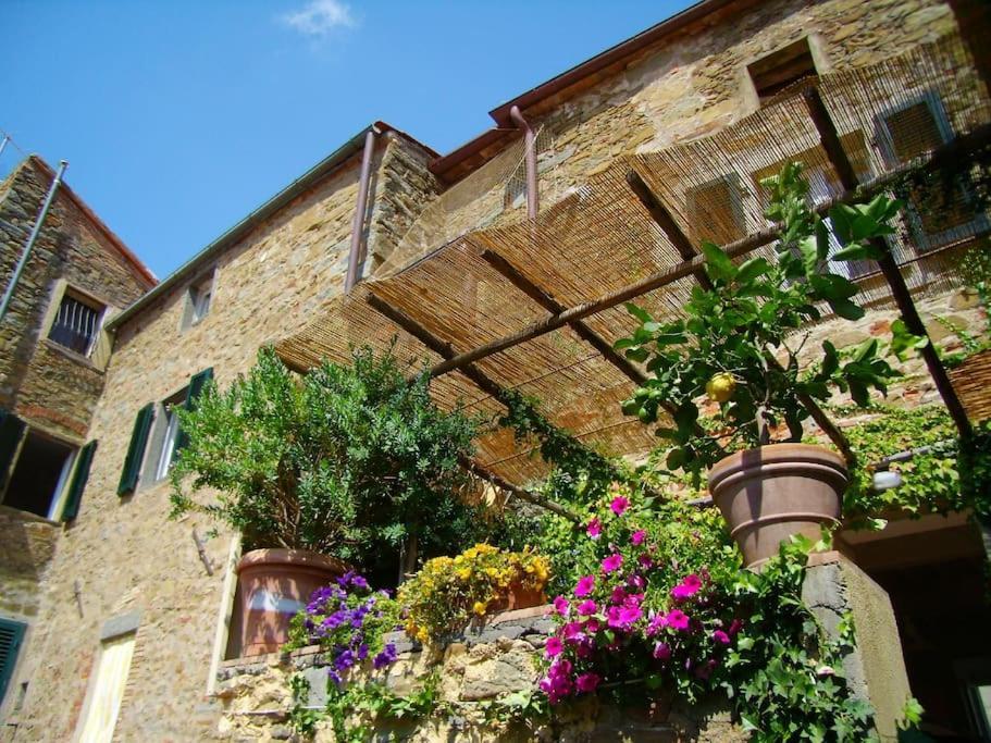 Near The Sea Big Panoramic House 2 Terraces In Lovely Village مونتيانو المظهر الخارجي الصورة