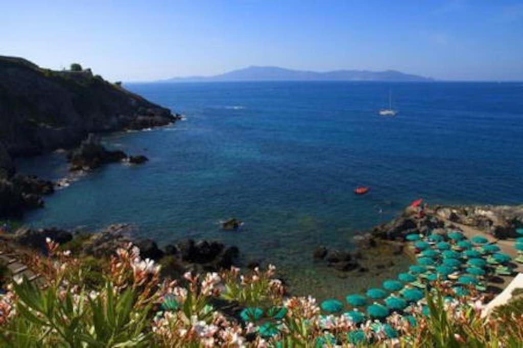 Near The Sea Big Panoramic House 2 Terraces In Lovely Village مونتيانو المظهر الخارجي الصورة