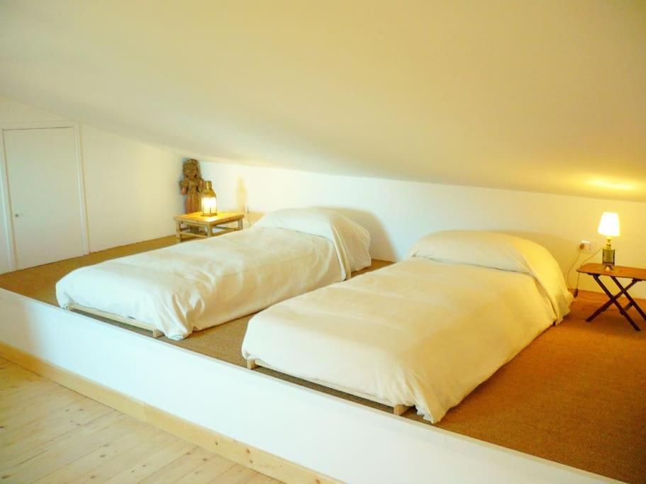 Near The Sea Big Panoramic House 2 Terraces In Lovely Village مونتيانو المظهر الخارجي الصورة
